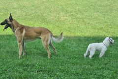 sibalko_0823_12