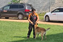 sibalko_0823_4