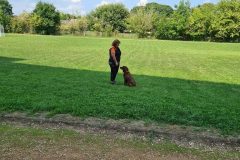 sibalko_0823_7