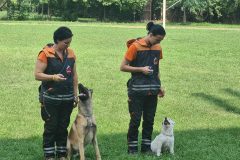 sibalko_0823_9