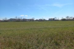 slovensky_grob_2023_13