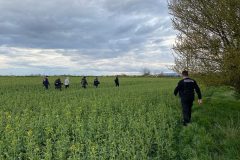 slovensky_grob_2023_3