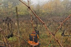 IMG_20211113_115629