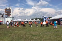 viber_image_2019-06-23_18-53-12