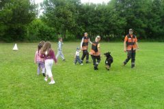 SAM_1447