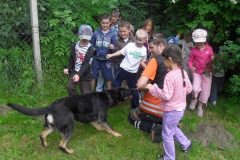 SAM_1456