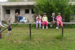 SAM_1462
