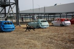 IMG_0883