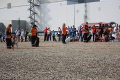 IMG_0966
