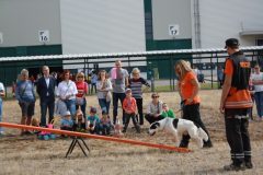 IMG_1023