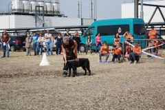 IMG_1051
