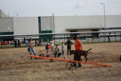 IMG_1202