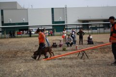 IMG_1204