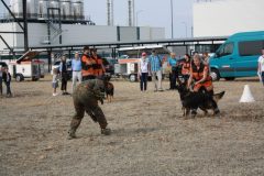 IMG_1251
