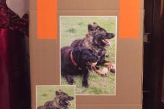 viber_image_2019-05-26_21-00-30