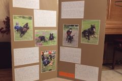 viber_image_2019-05-26_21-00-32