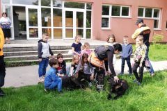 viber_image_2019-05-26_21-00-51