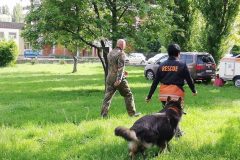 viber_image_2019-05-26_21-00-52-2