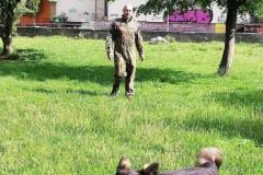 viber_image_2019-05-26_21-01-01