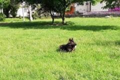 viber_image_2019-05-26_21-01-02-2