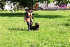 viber_image_2019-05-26_21-01-02