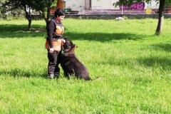 viber_image_2019-05-26_21-01-24