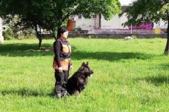 viber_image_2019-05-26_21-01-25-2