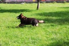 viber_image_2019-05-26_21-01-25