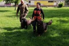 viber_image_2019-05-26_21-01-26