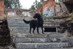 ulanka170425_7