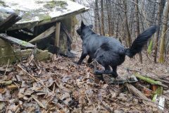 ulanka032024_16