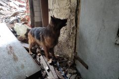 ulanka032024_19