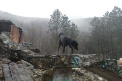 ulanka032024_30
