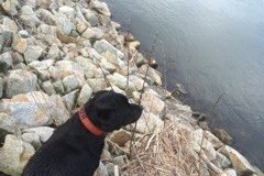 IMG_0552