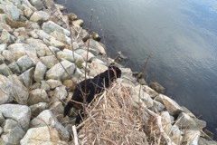 IMG_0553
