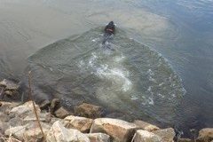 IMG_0555