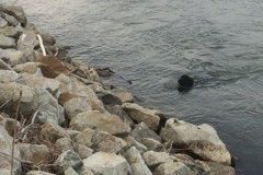 IMG_0560