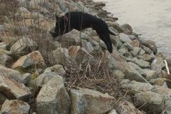 IMG_0563