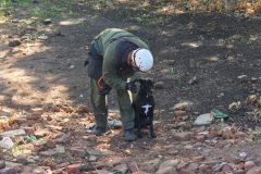 vrbo-2